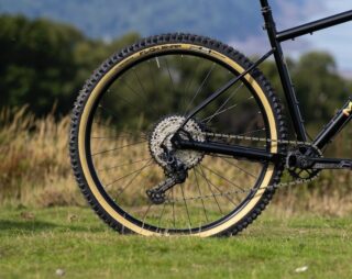 Pine Mountain 2 rear wheel detail.